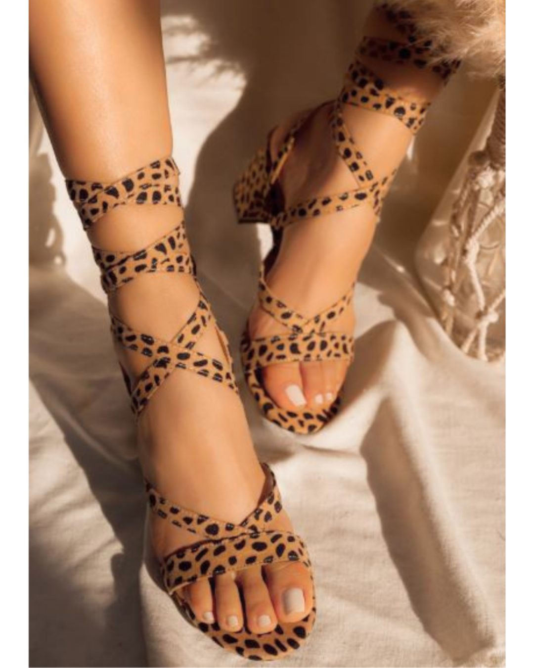 Deici - Cheetah